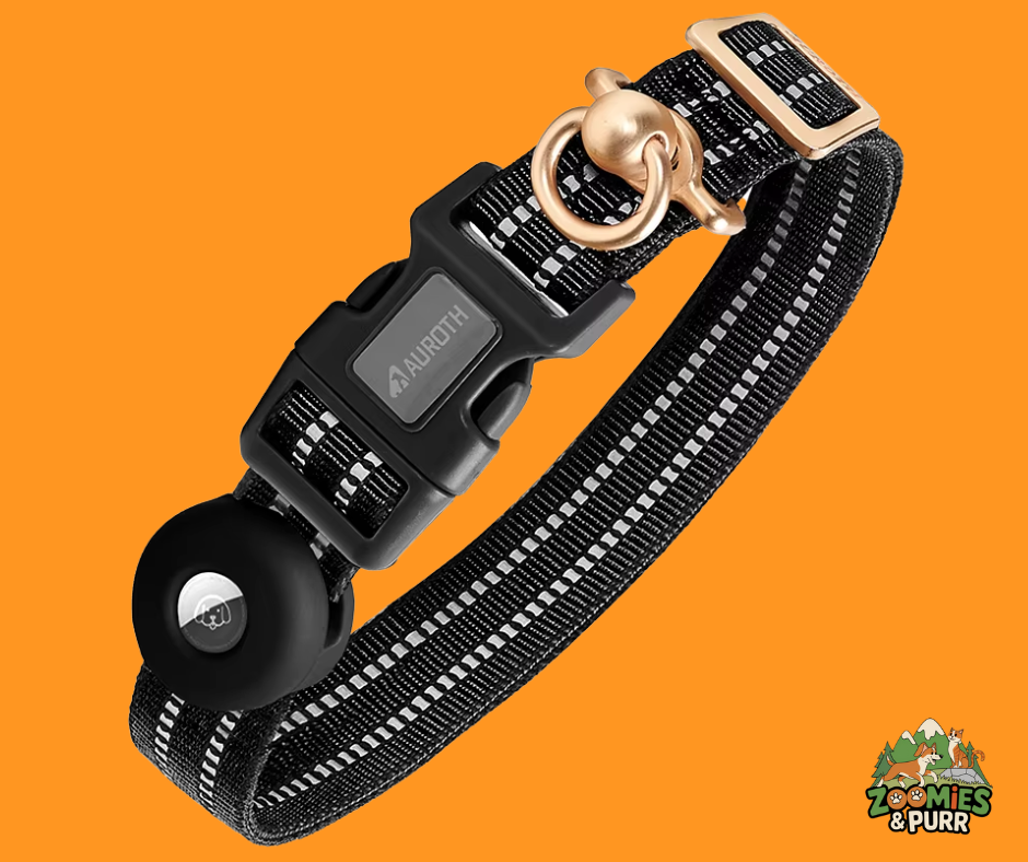 Sierra Track & Find AirTag Dog Collar - Large Black